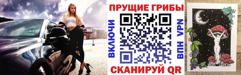 Псилоцибиновые грибы ЛСД  дарнет шоп  Жирновск 